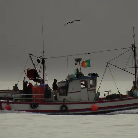 Casa Do Alpendre Holiday home