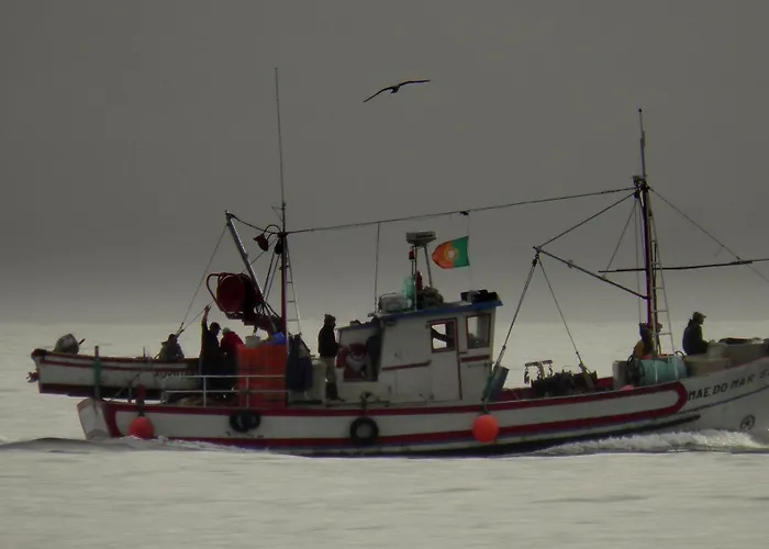 Casa Do Alpendre Holiday home